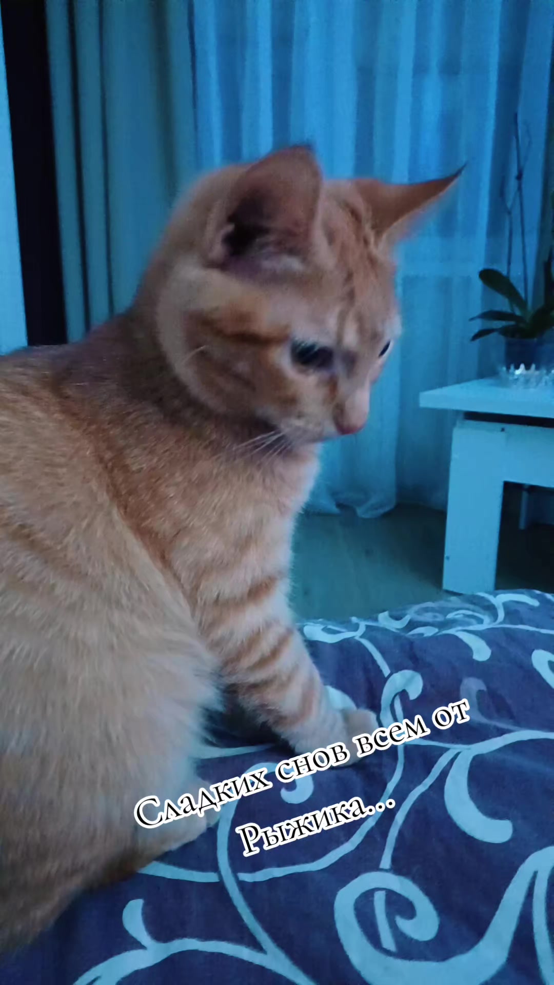 @ТАНЮШКА 🌺🌺