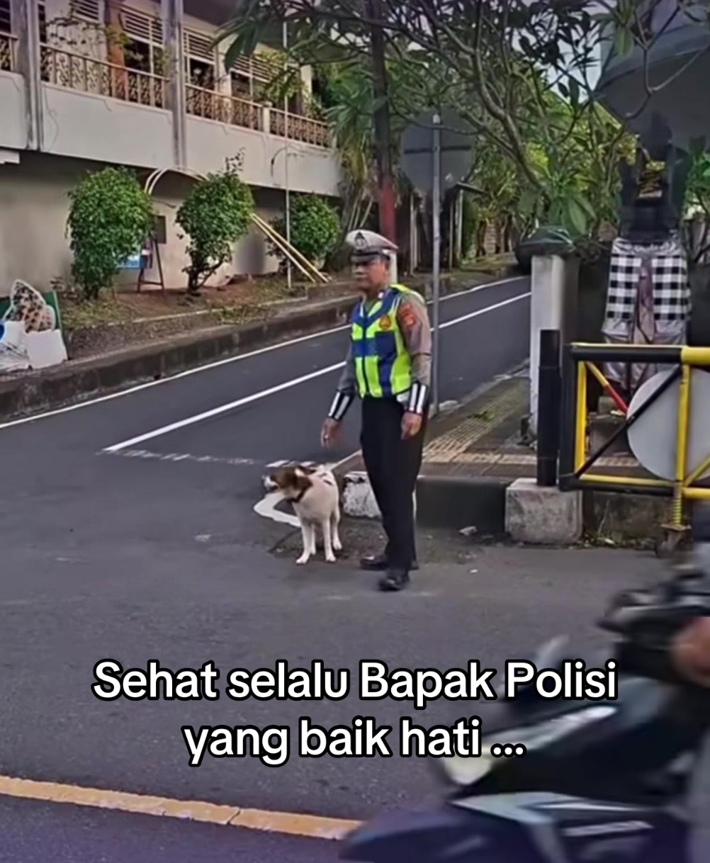 @indonesian_dog_lover