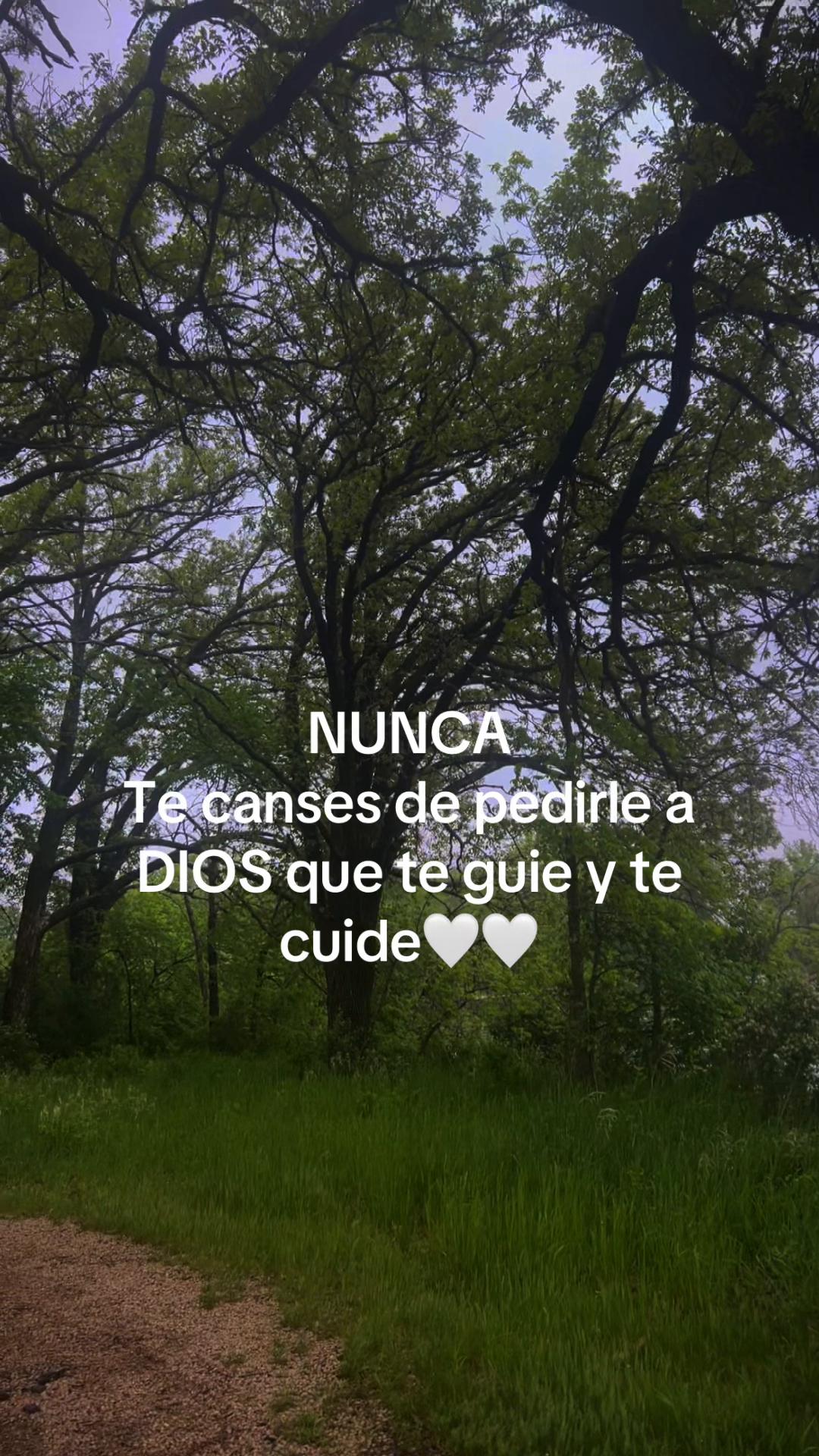 @Fanyfls🌸