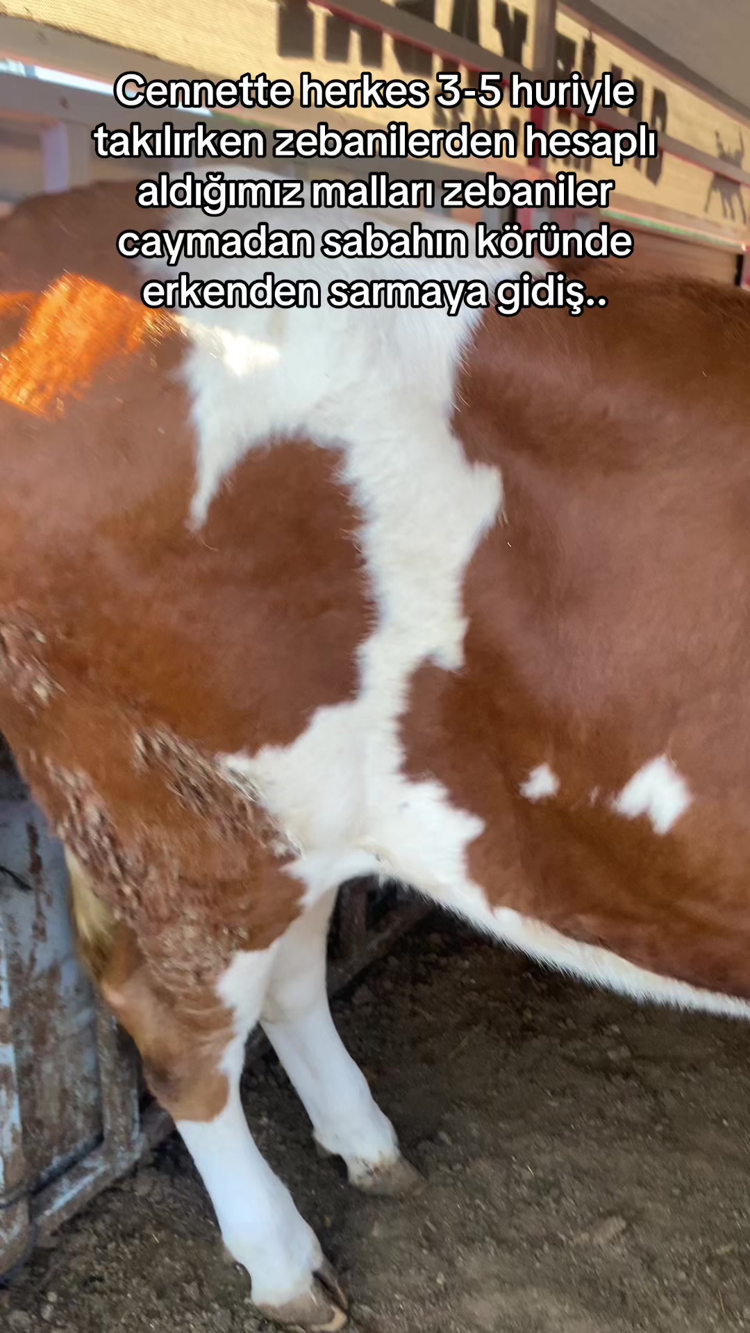 @Galip Ertuğrul