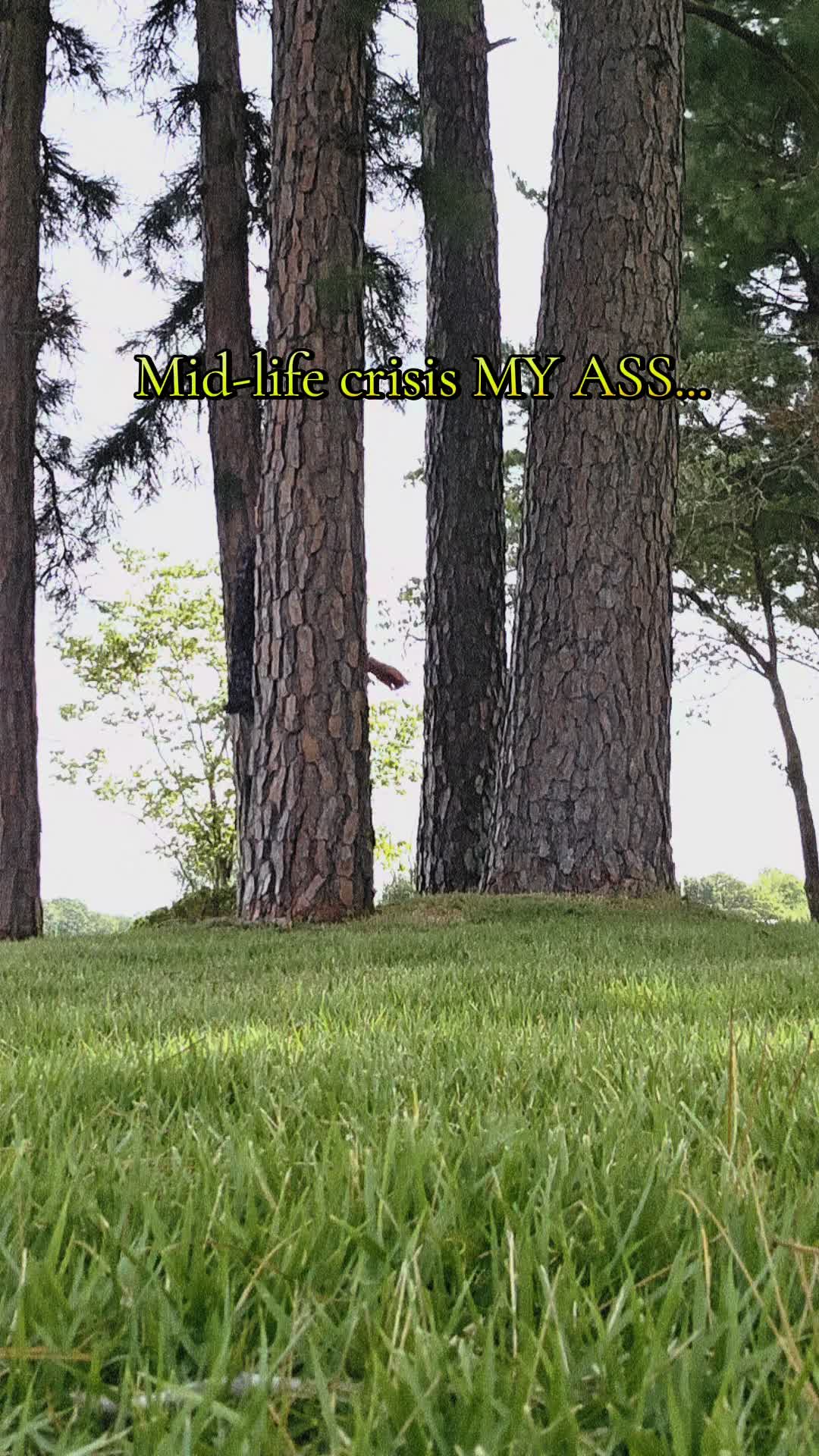 @☽✨️ℛ𝒶𝓋ℯ𝓃𝒪𝒶𝓀 ✨️☾