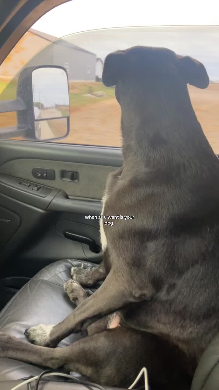 @𝓚𝓙