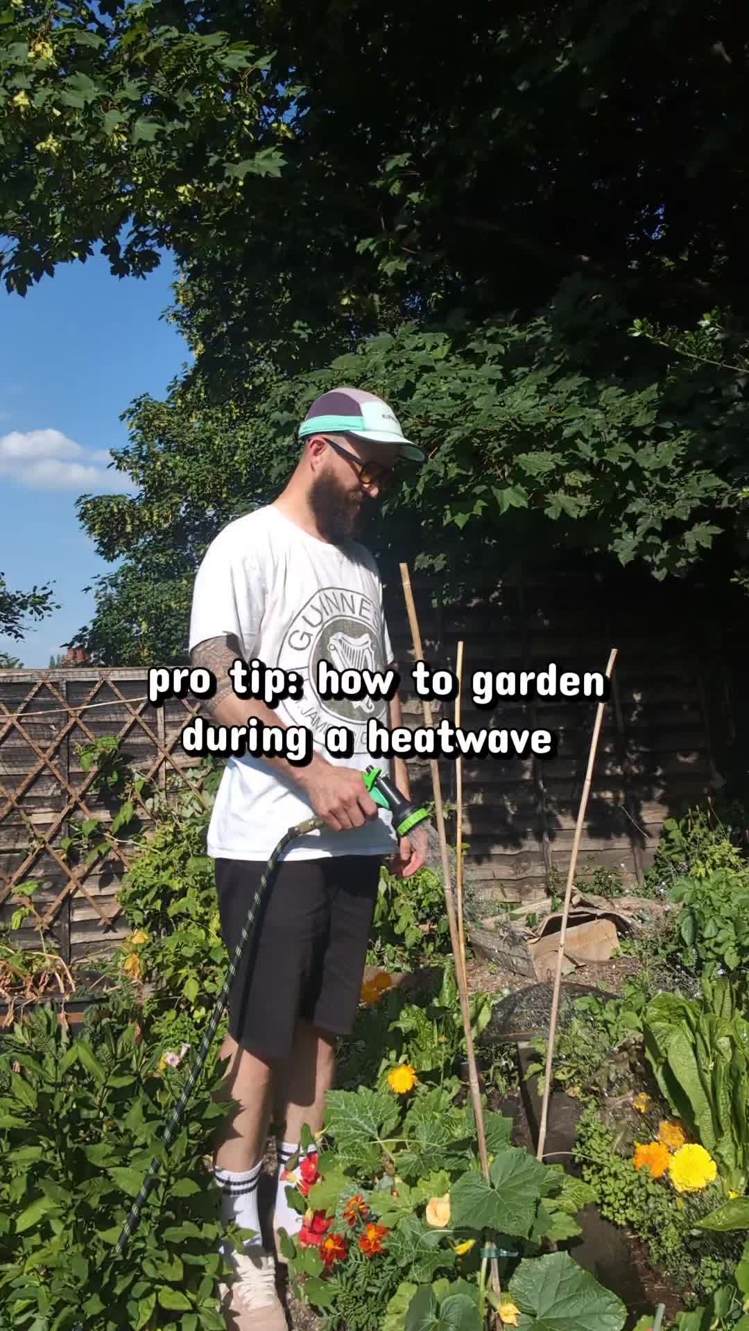 @Steady Going Gardener 🌸🌿