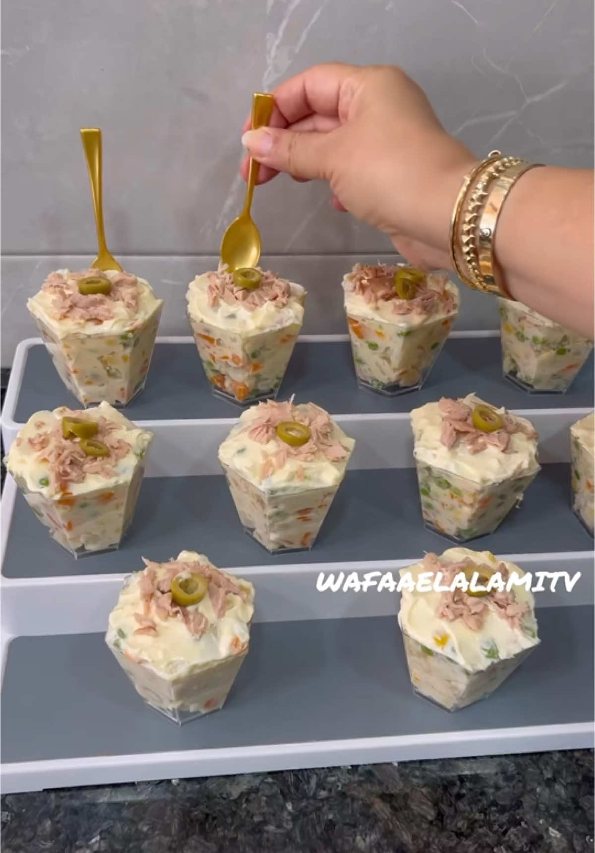 @wafaaelalamitv
