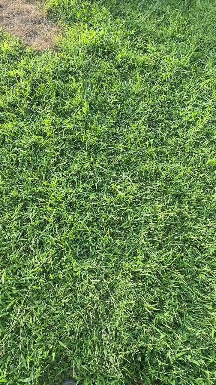 @ThatKawasakiKX250