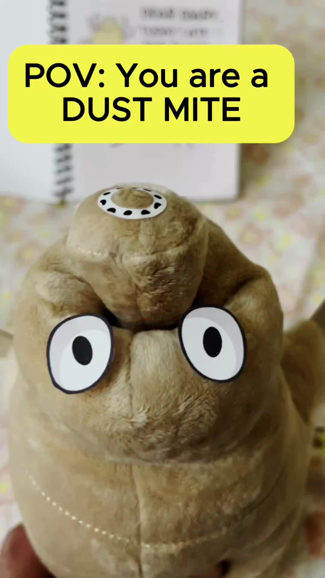 @hygienehawk