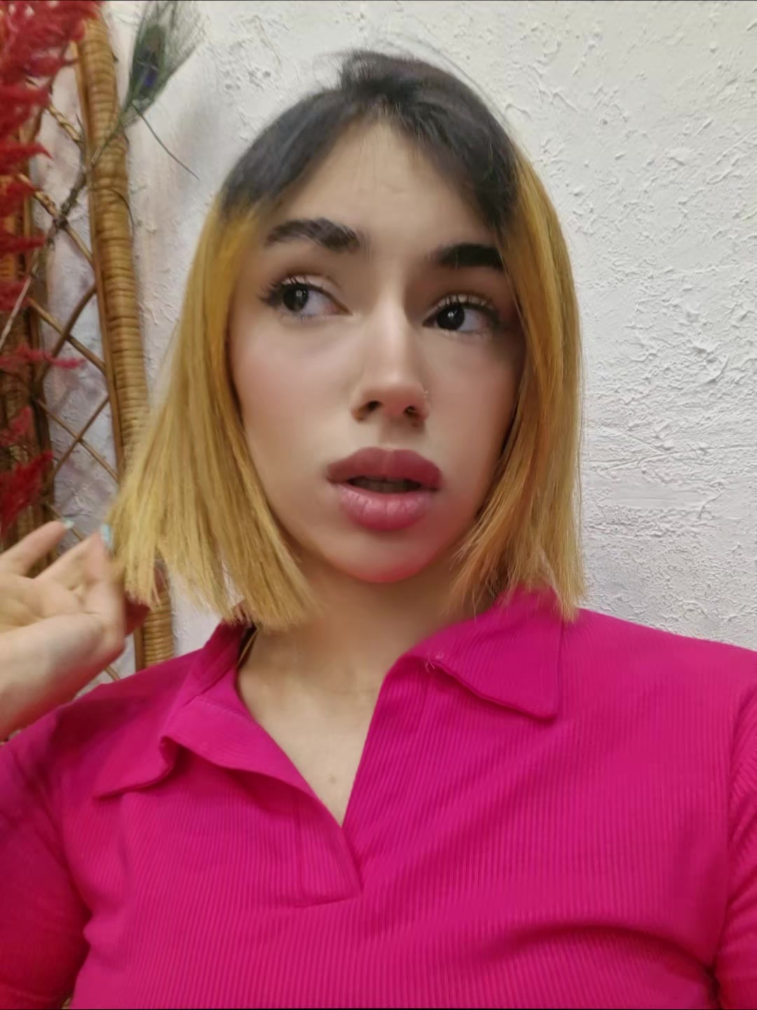 @ferdos19