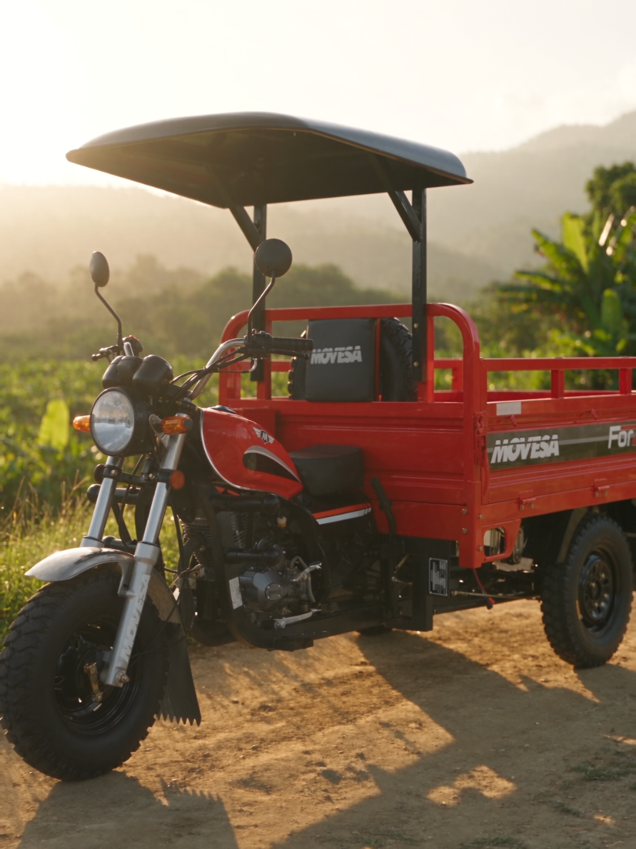 @Motos MOVESA GT