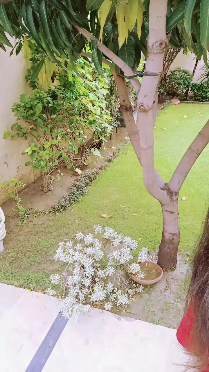 @𝑺𝒊𝒏𝒈𝒆𝒓 𝑺𝒂𝒎🦋