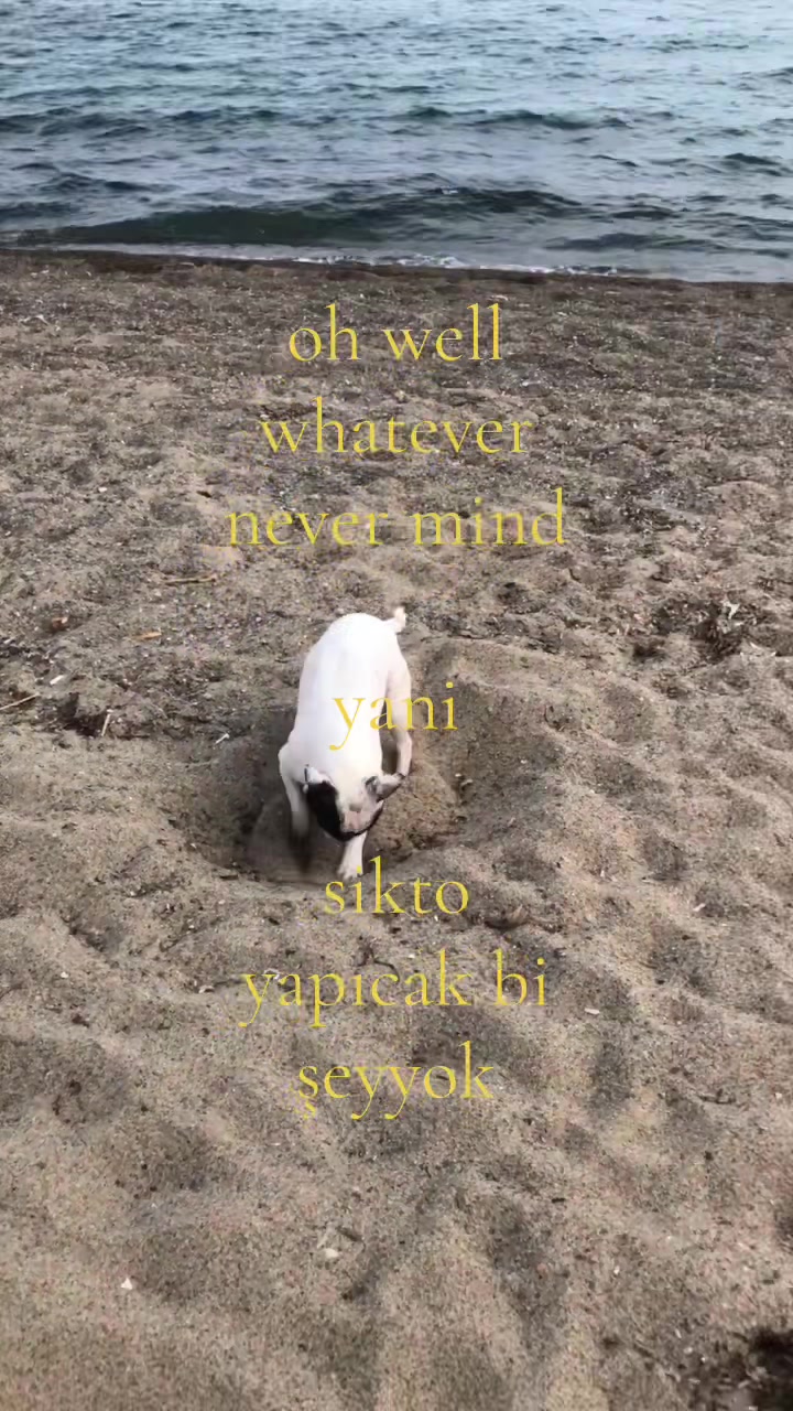 @bambinoirl