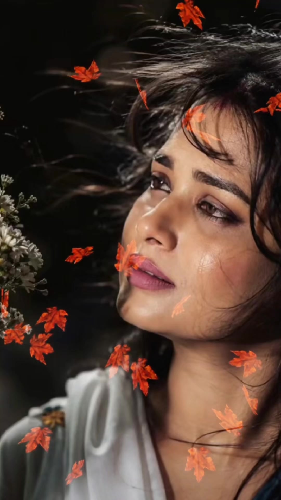 @Rimsha khan