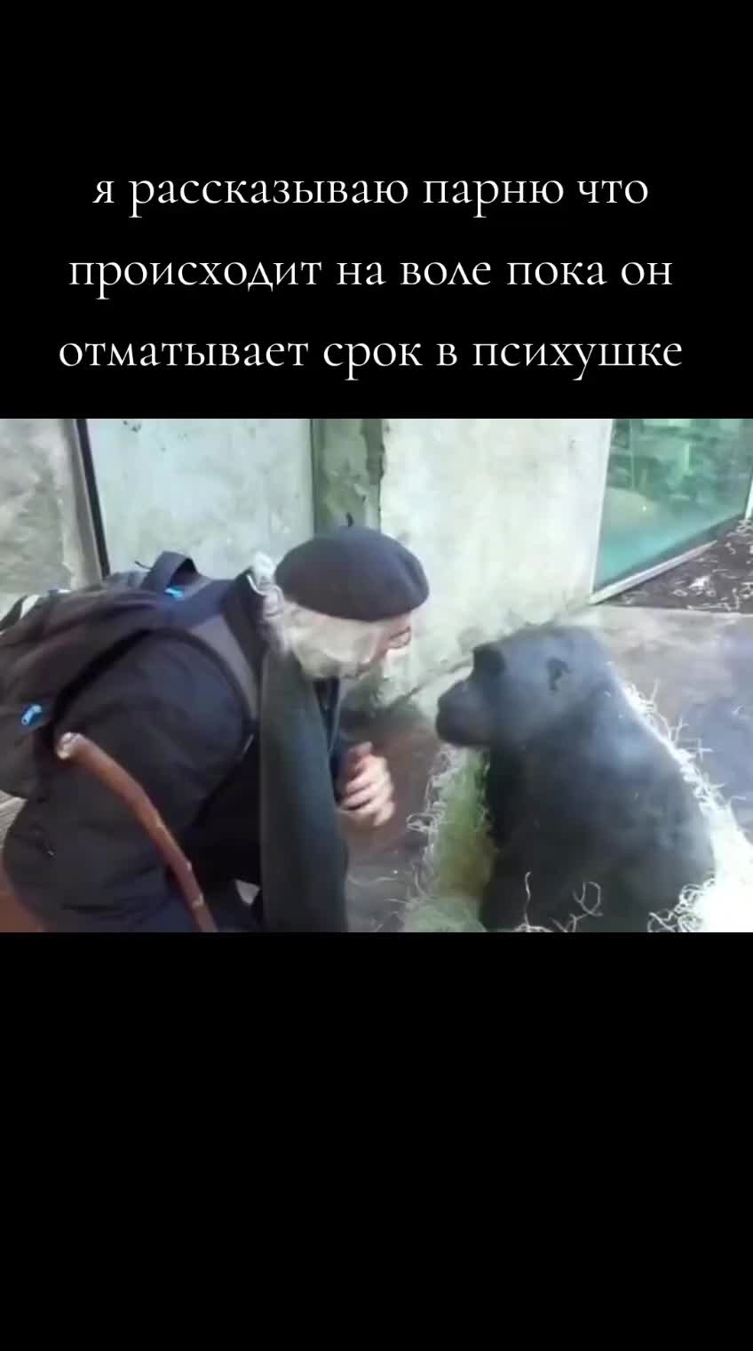 @Кот в луже бензина❦