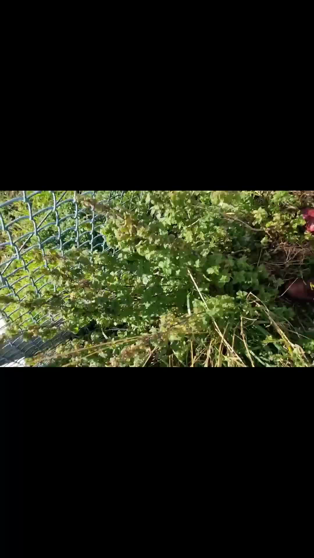 @aviat.addict
