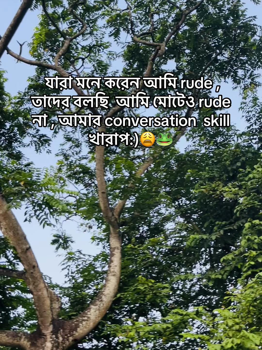 @💫 ⸻𓆩ꜱᴇɴɪᴏʀ ᴘᴏᴏᴋɪᴇ𓆪⸻ 🍒🦋