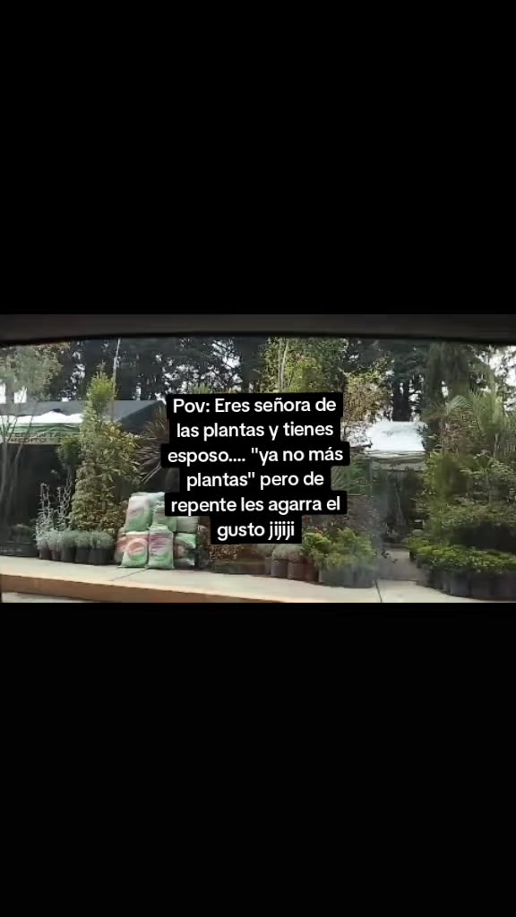 @@LaVañaPaola