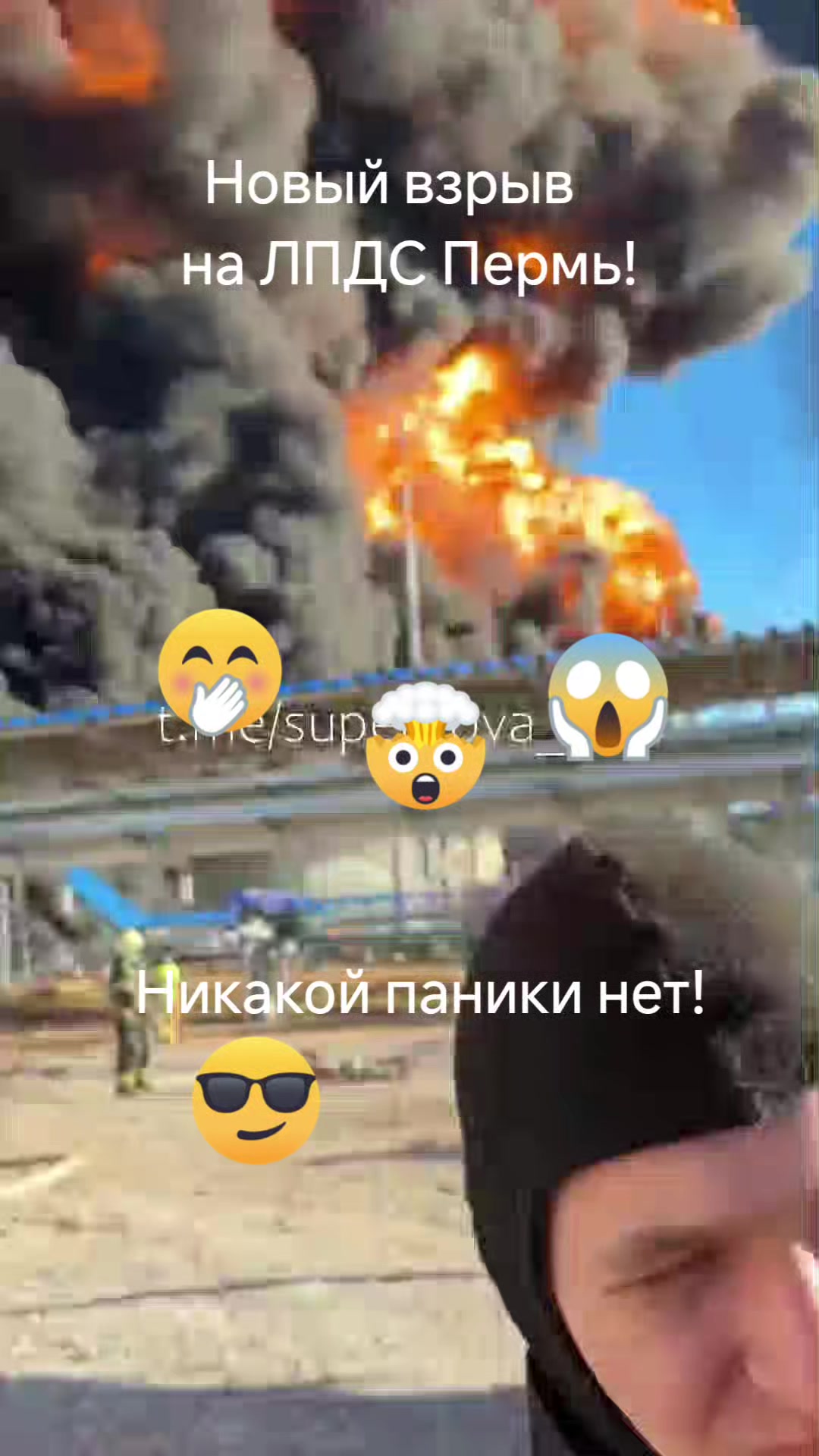 @haliina5