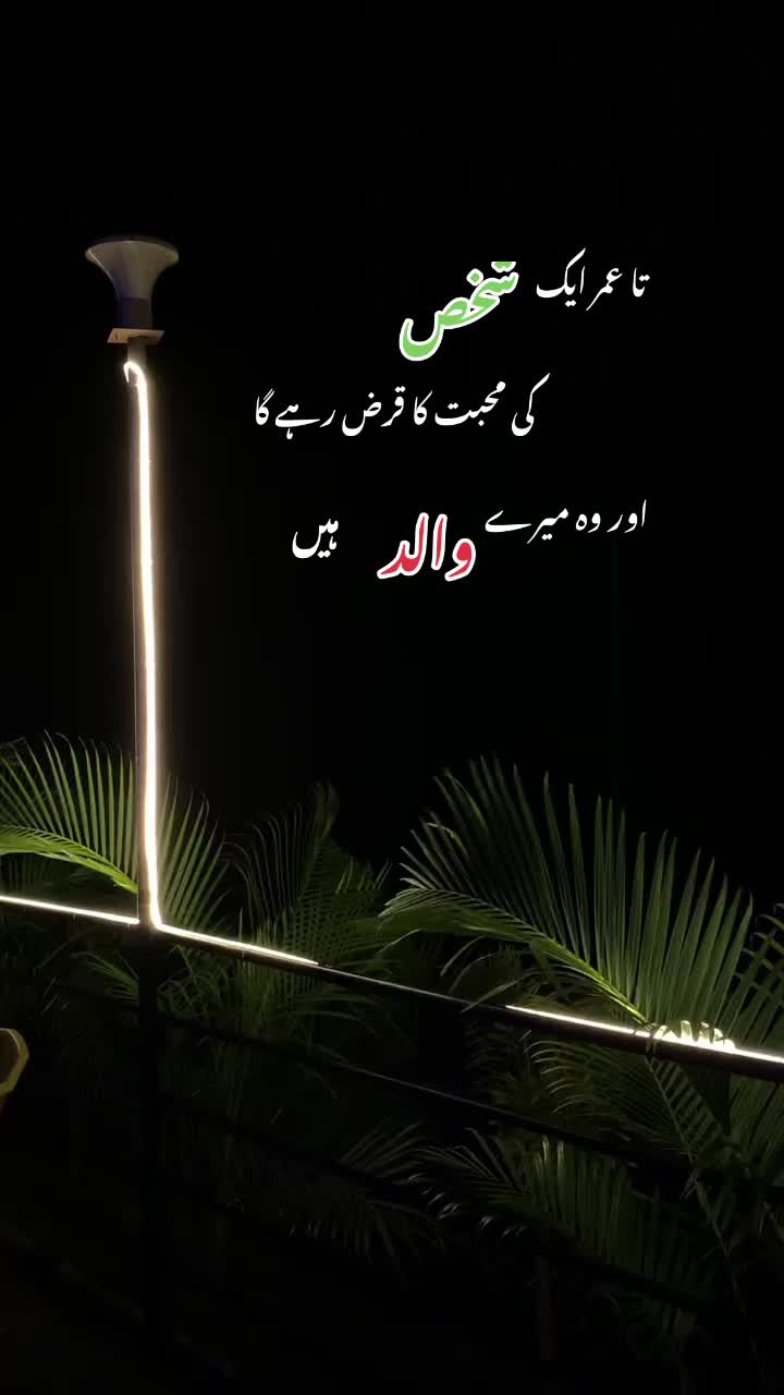 @MR AHMAD 🖤