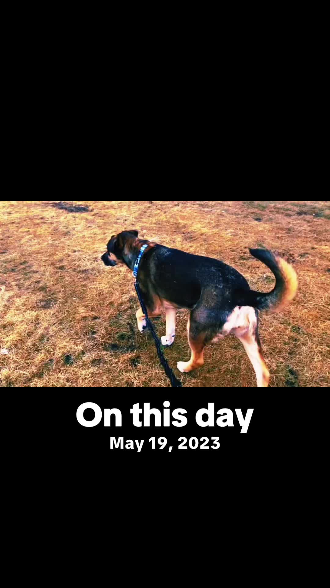 @I miss my baby 🤍