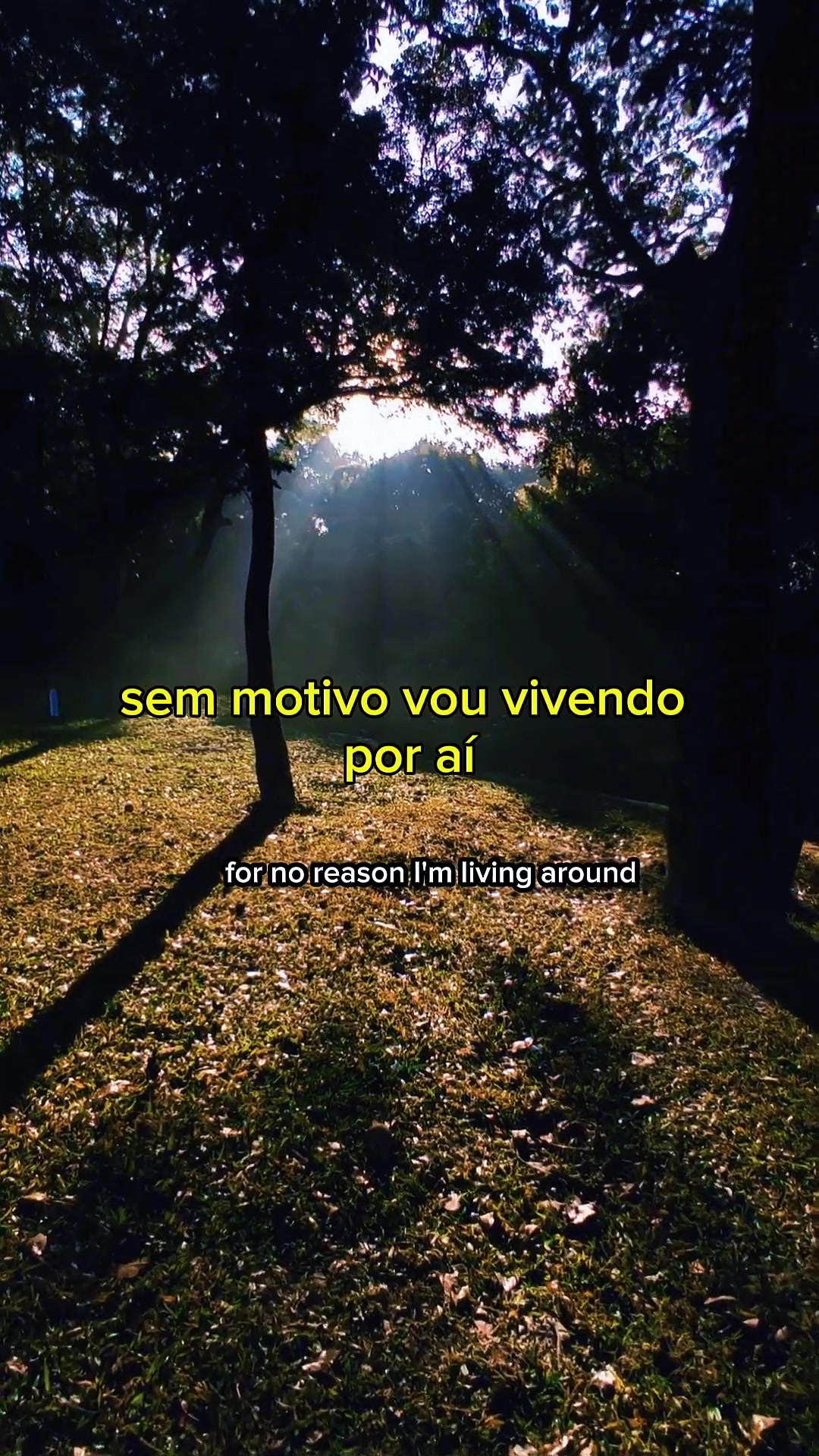 @só modão