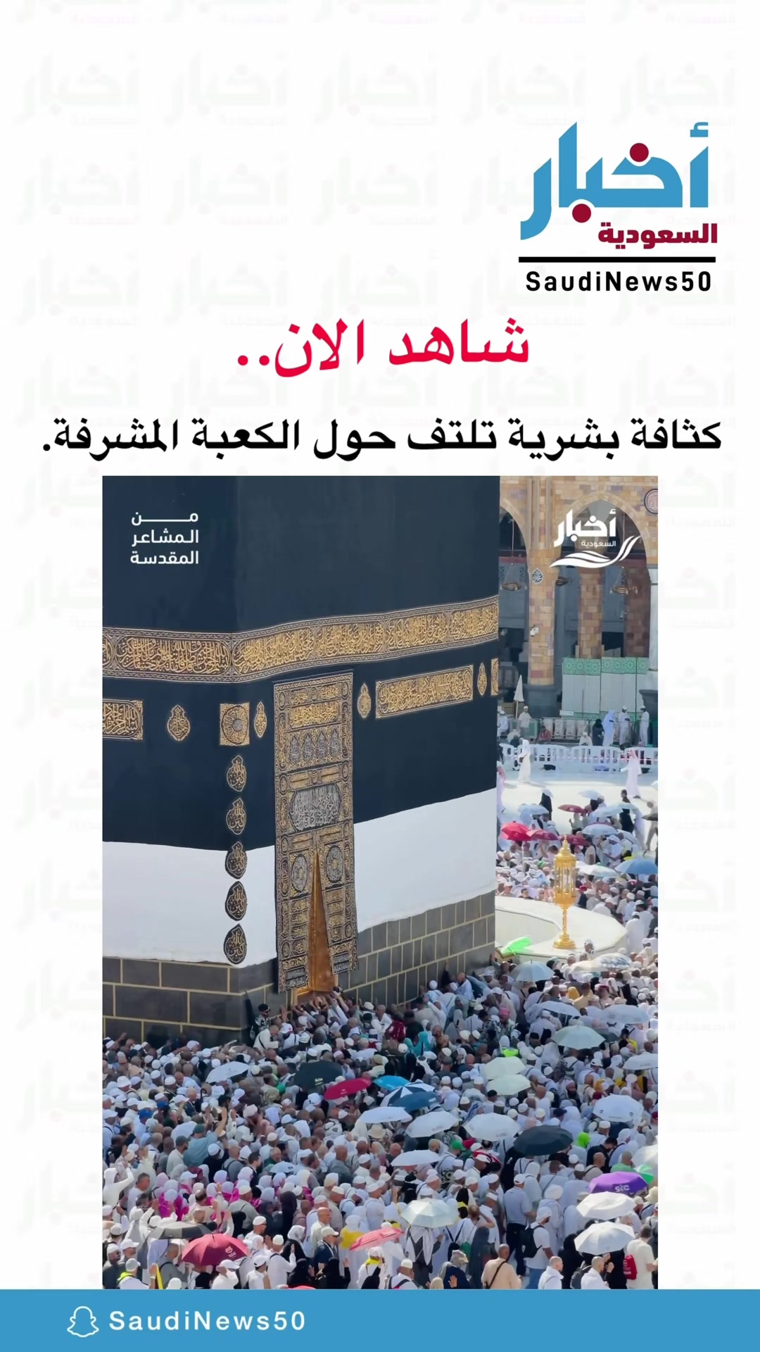 @أخبار السعودية