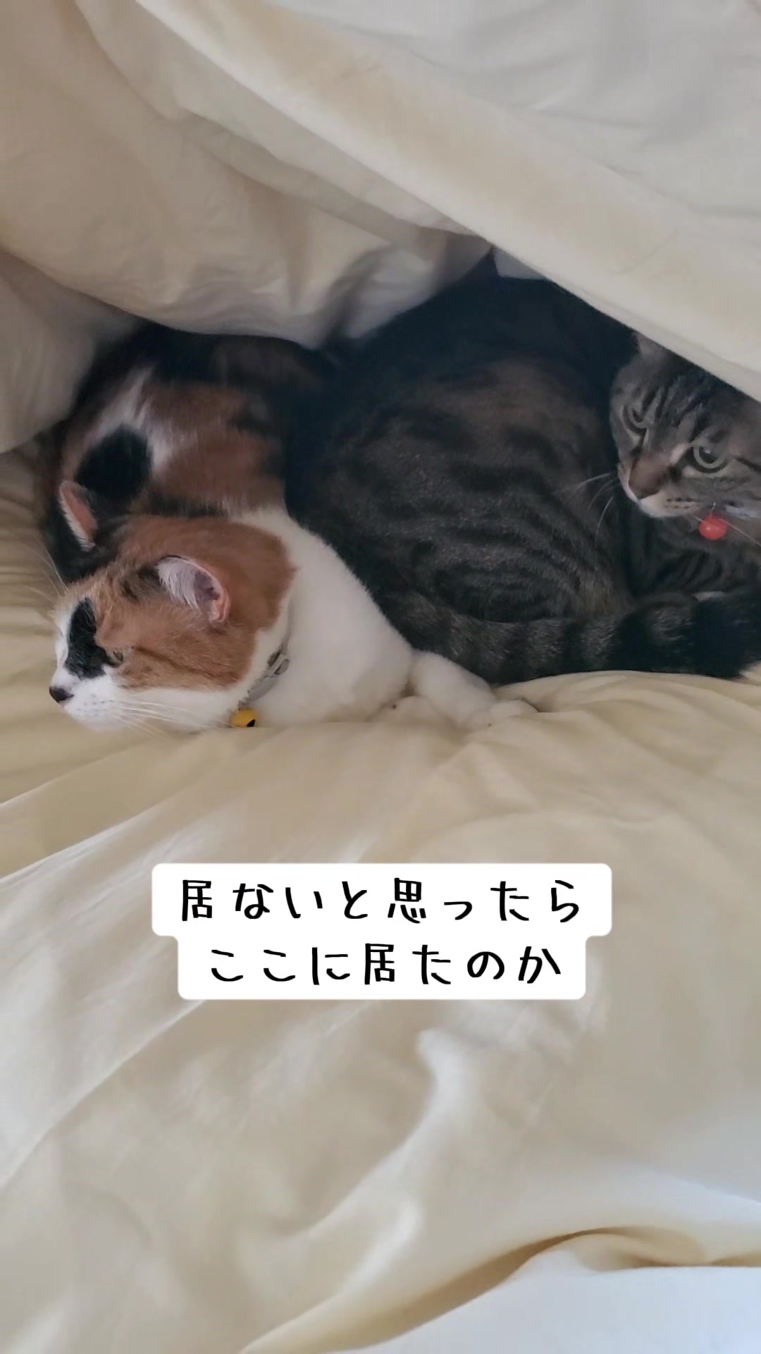 @😻kazuki😻