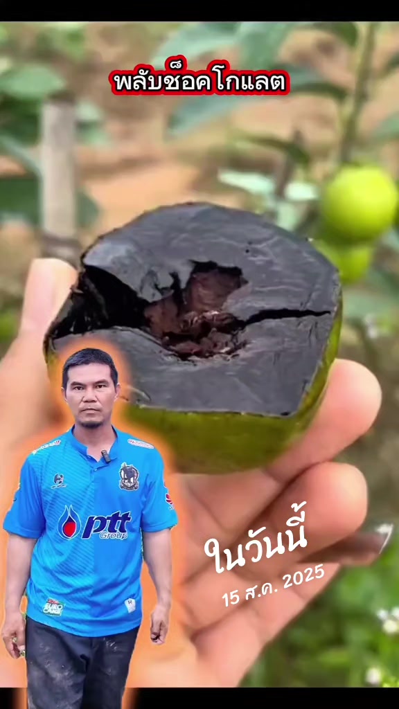 @Konloy