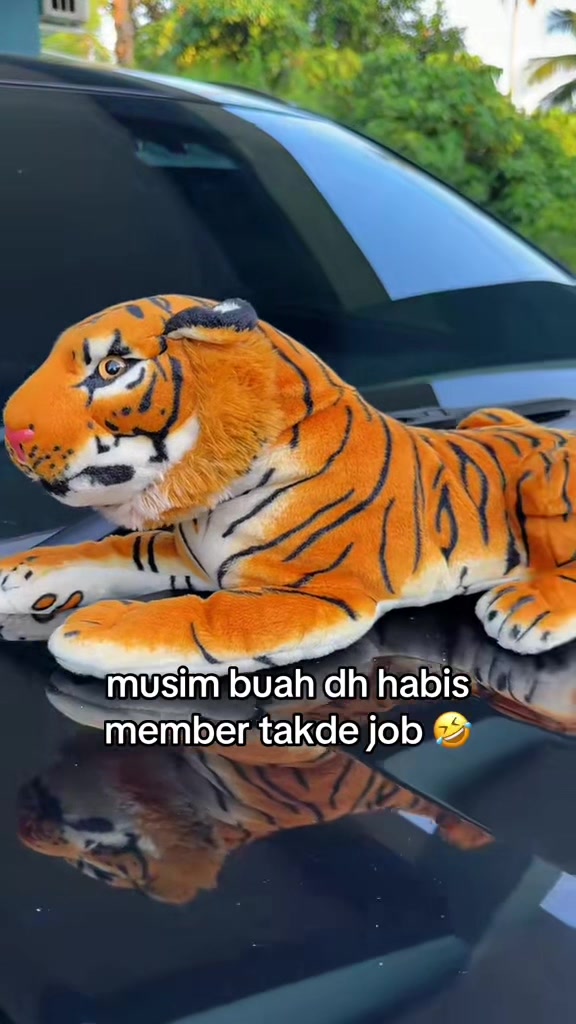 @abg komen rider