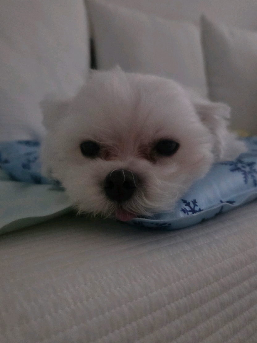 @๐ฐ๋๐ขnya