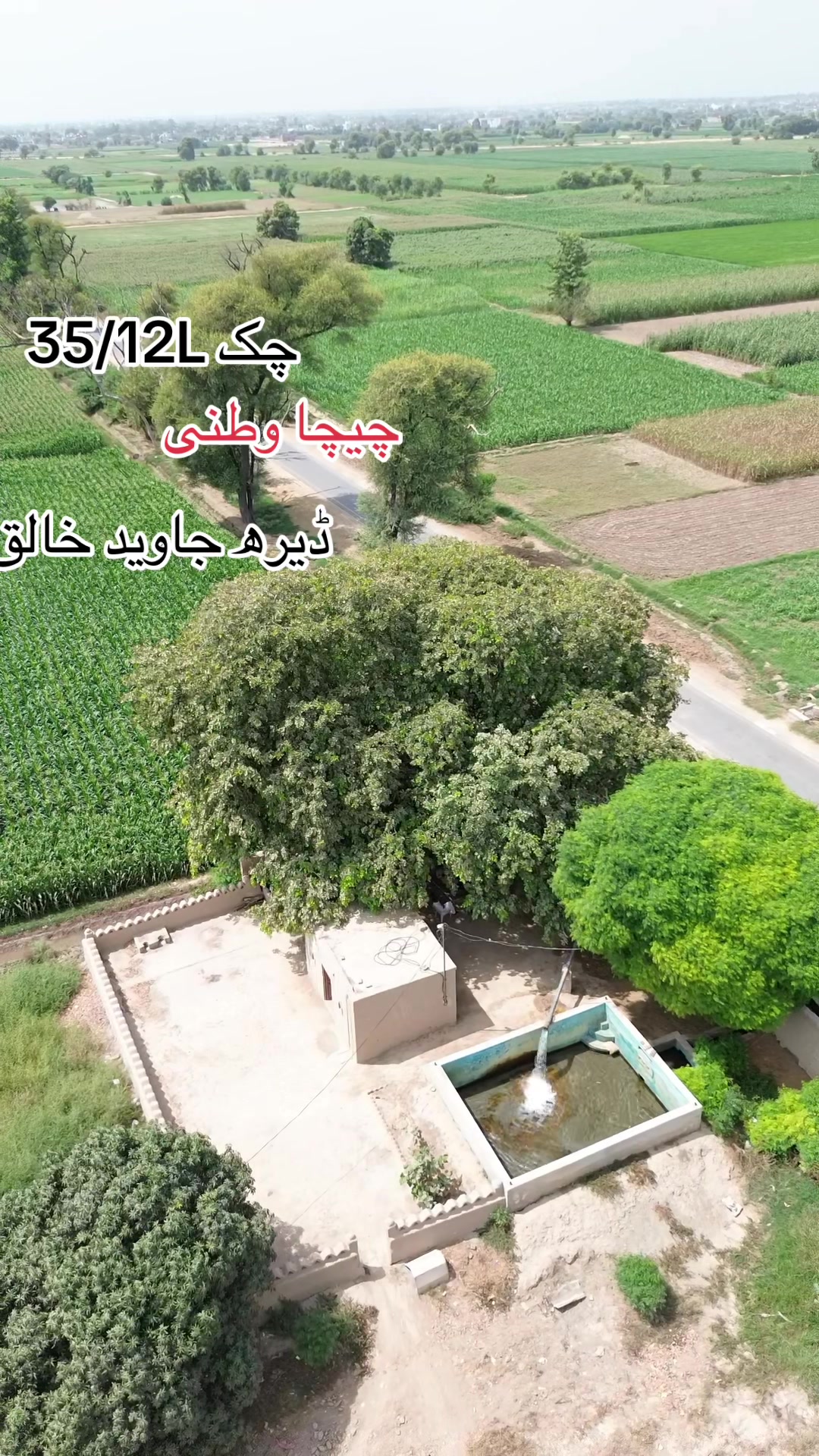 @فریاد کالوکاوٹو