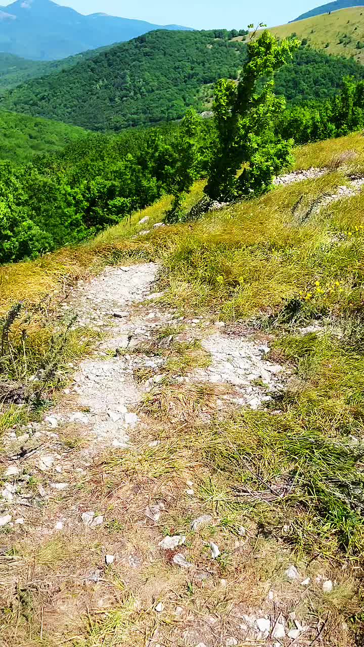 @ВЫШЕ ВСЕХ☦