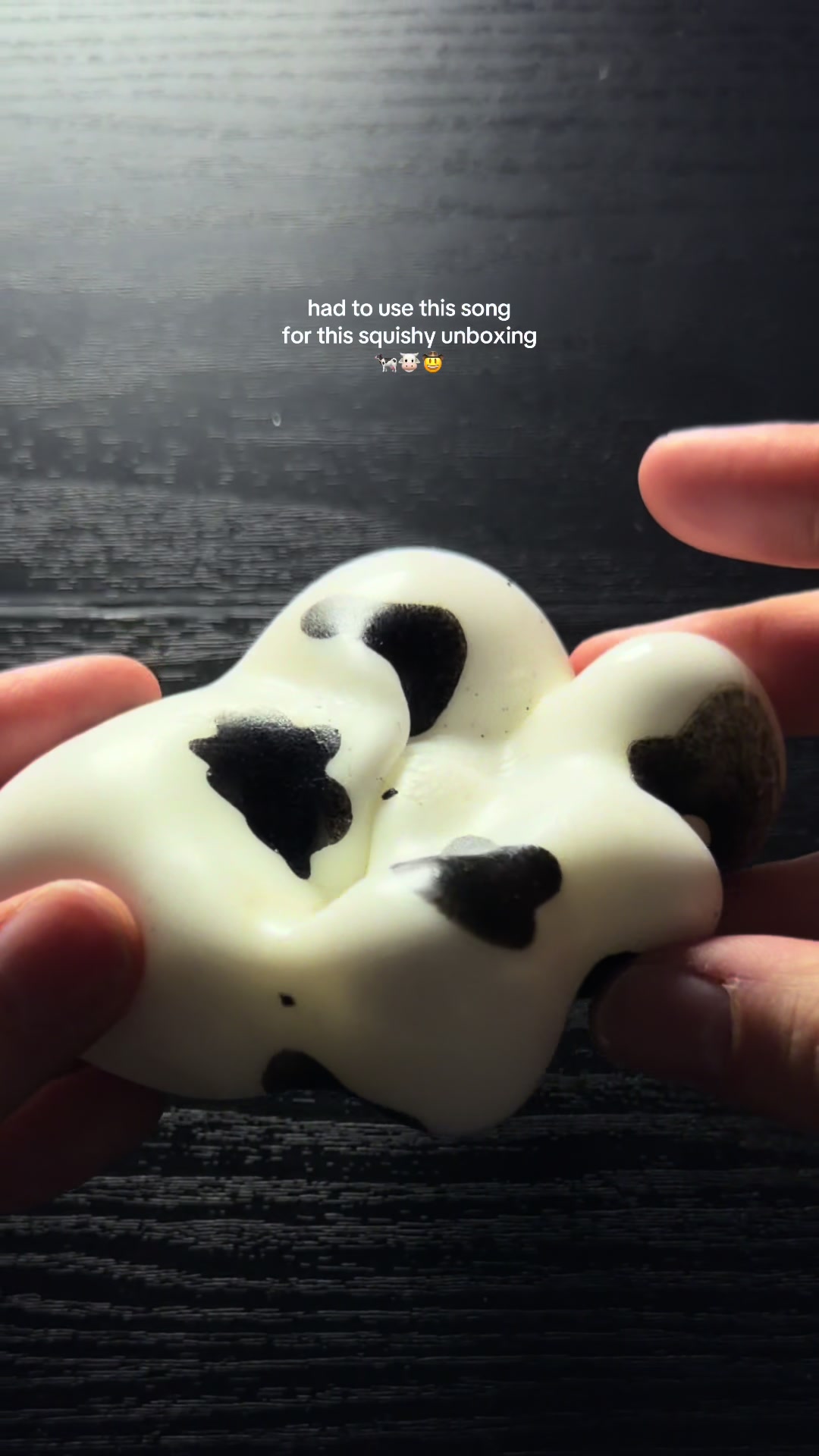 @squishy enthusiast