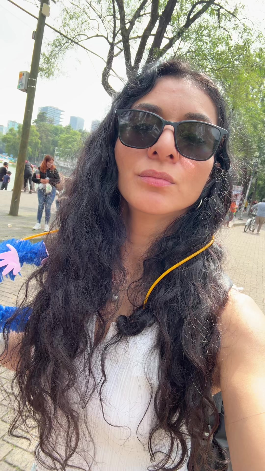 @poladygaga