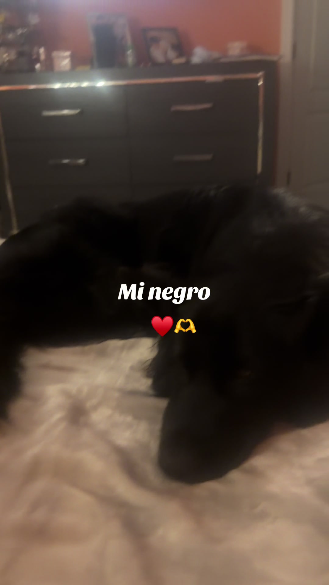 @tatianaolivares982
