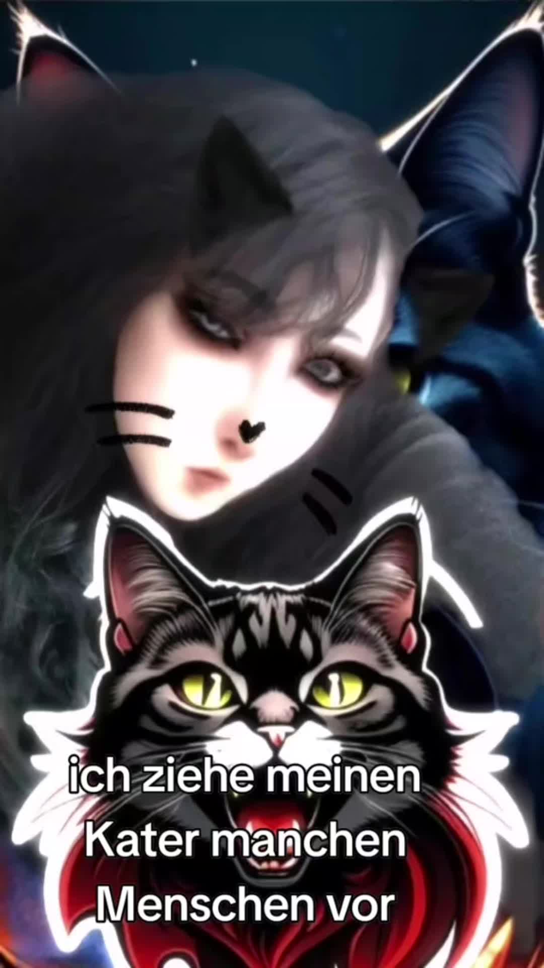 @Badcat _DHC🦁🦁
