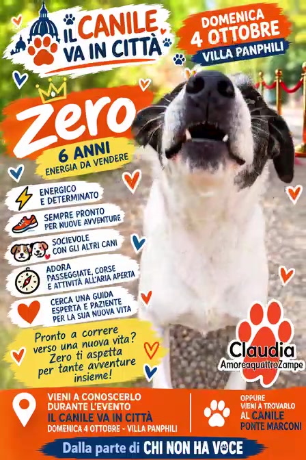 @Amoreaquattrozampe.it