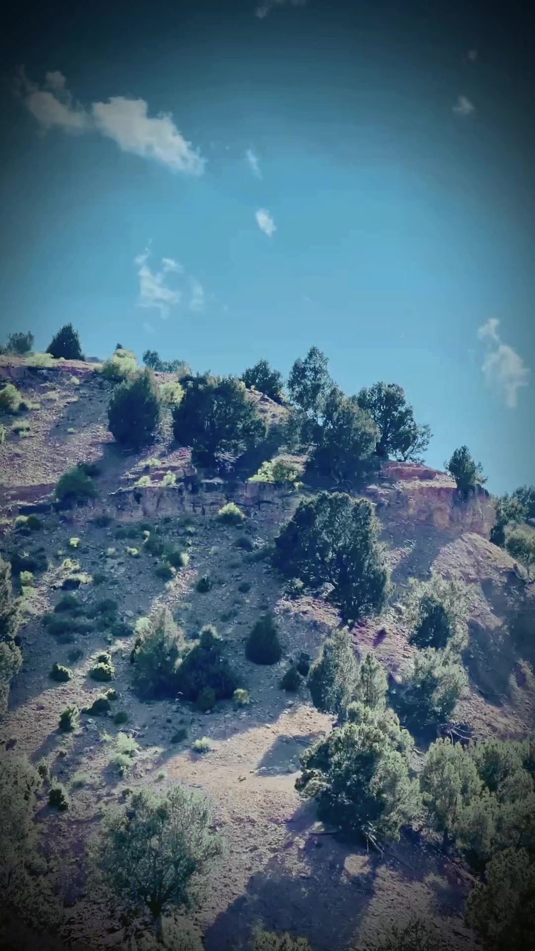 @torabi lala