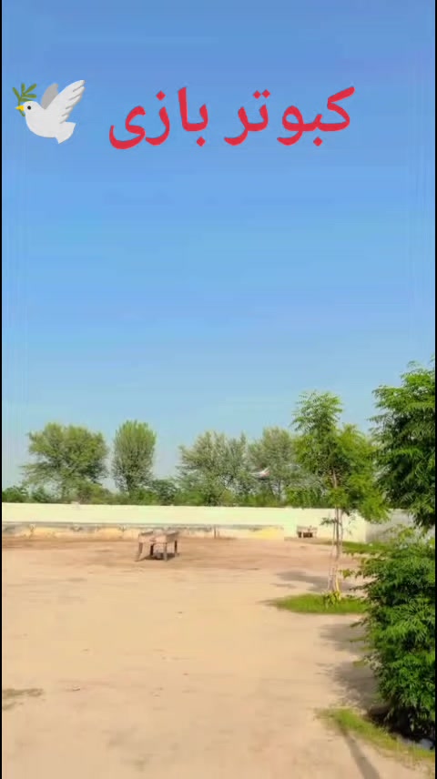 @꧁𓊈𒆜Awais Sahu𒆜𓊉꧂