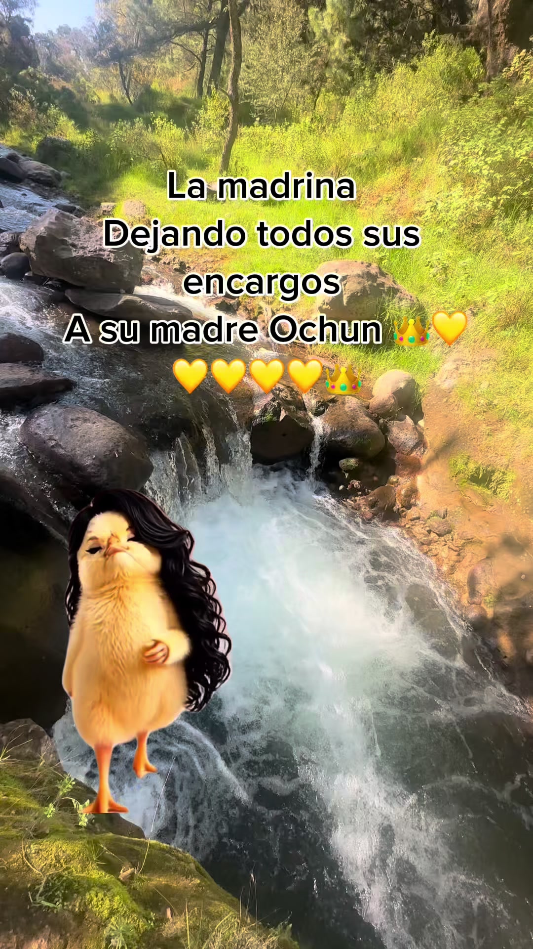 @sandyeleguacita