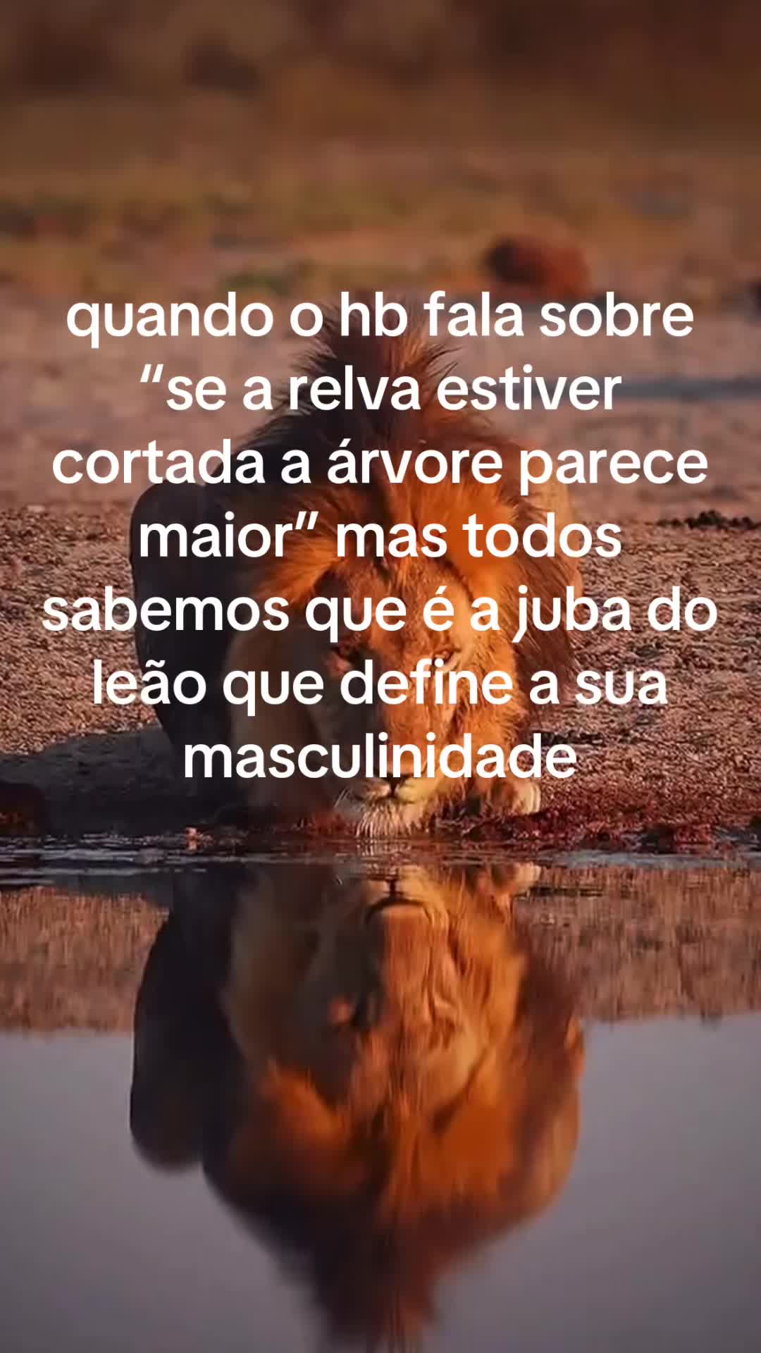 @Fernando Ferreira