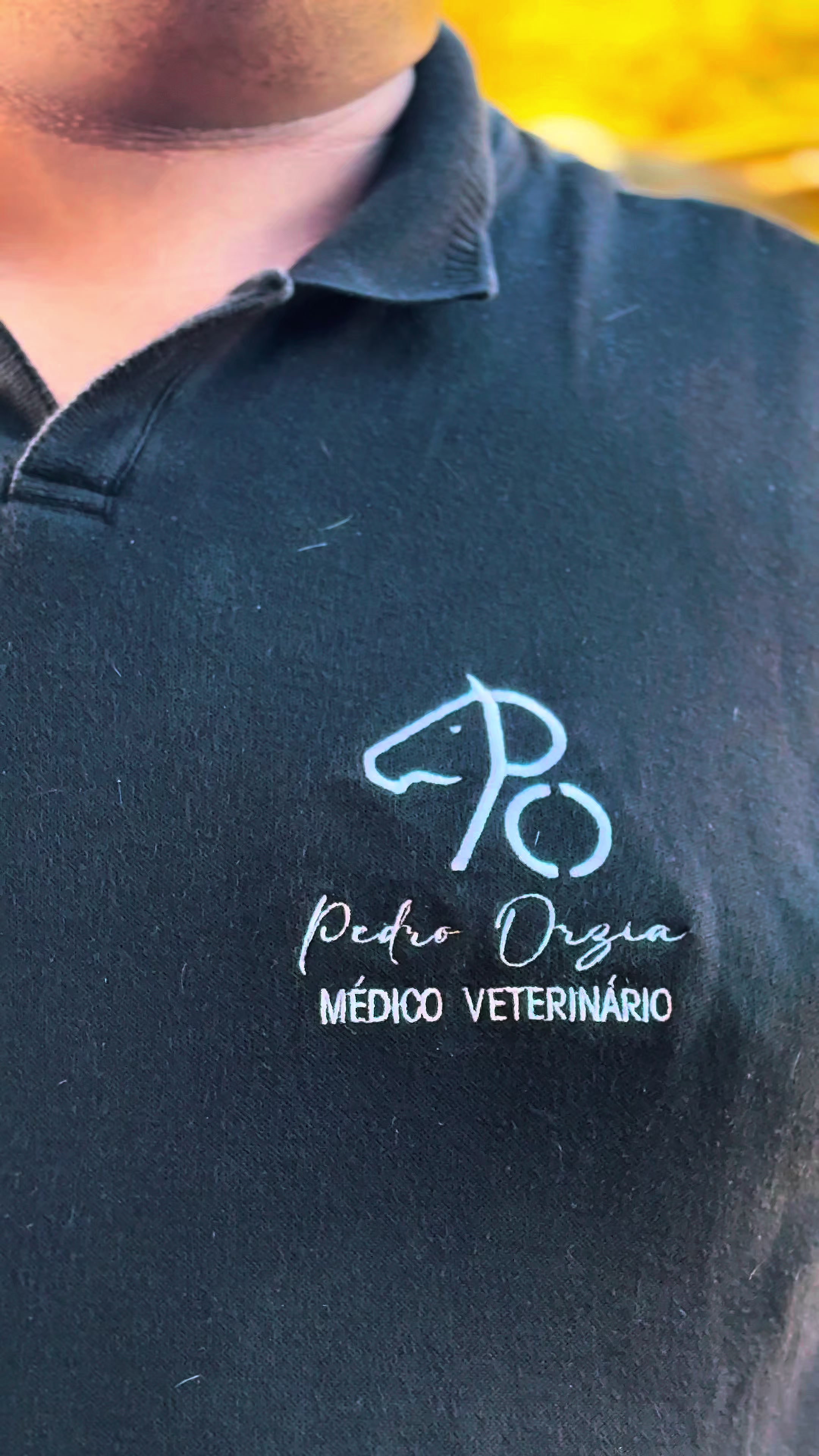 @pedroorzia_