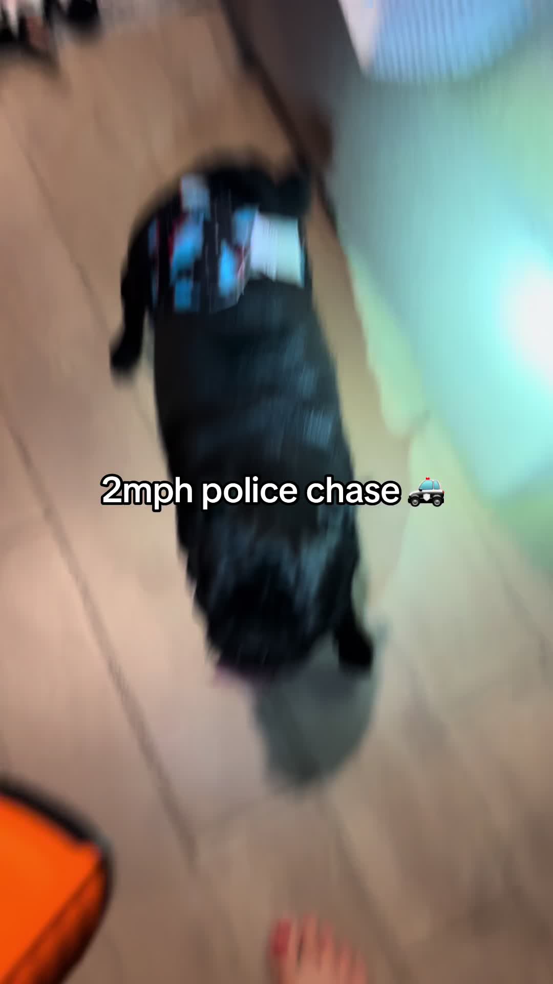 @ThreeCrustyPugs