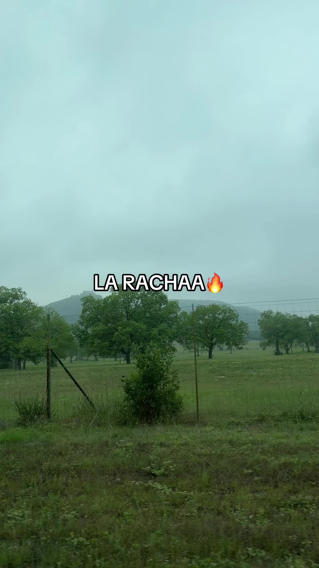 @El Trevol