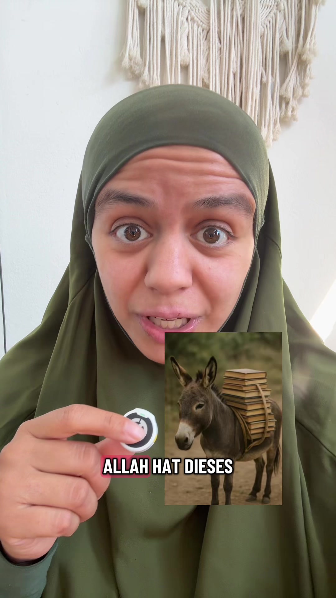 @Iman El-Hussein