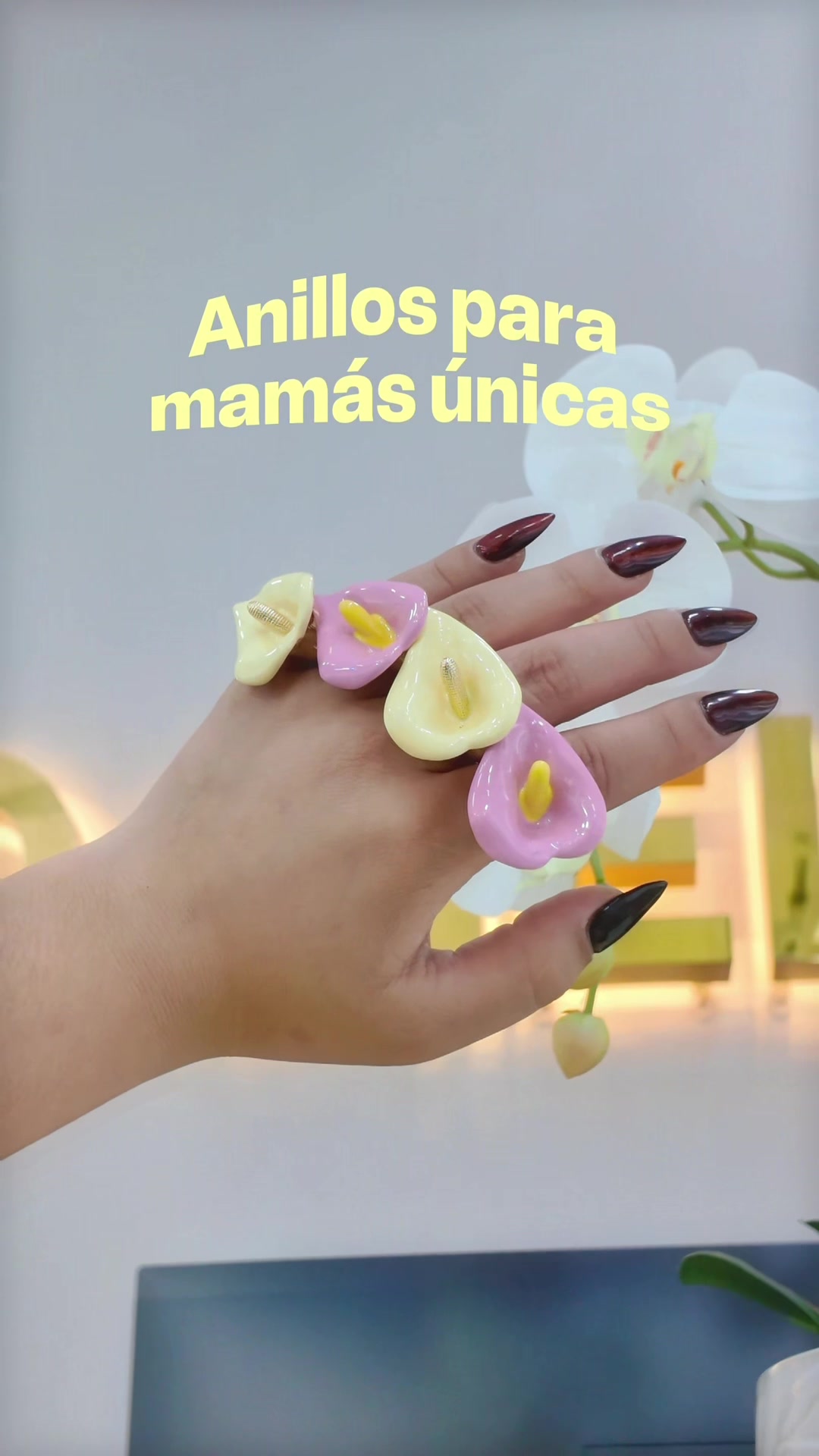 @Divino Cielo Accesorios
