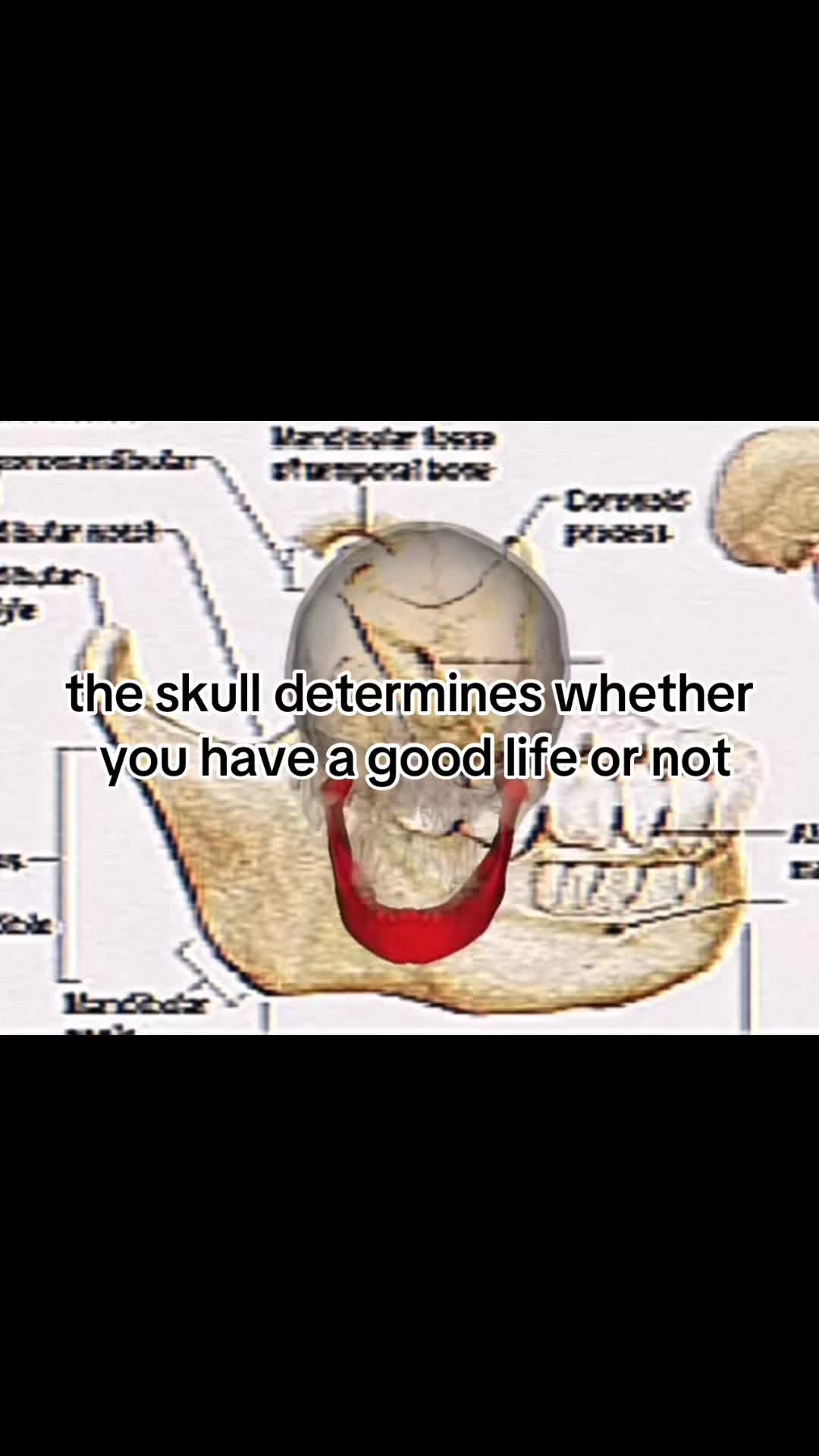 @Lks