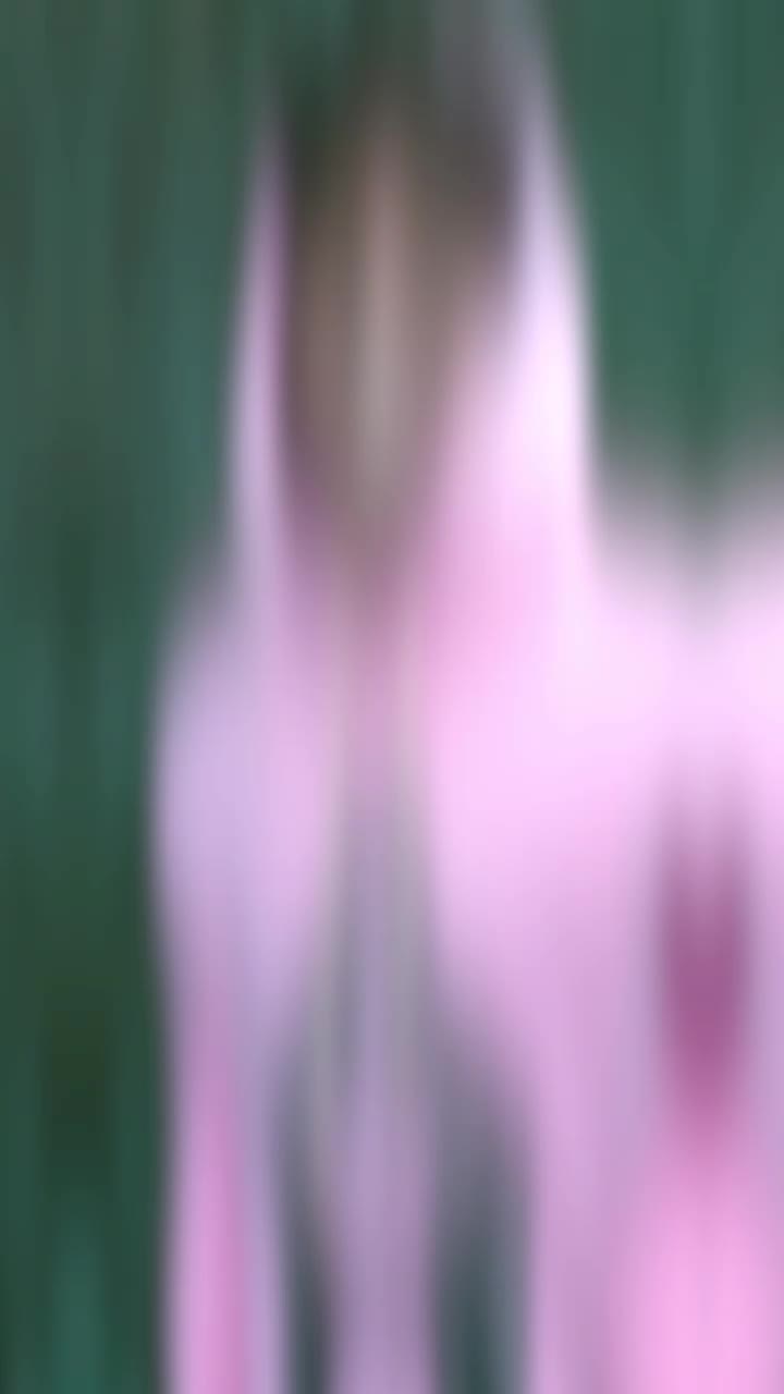 @๐๐๐๐ โ