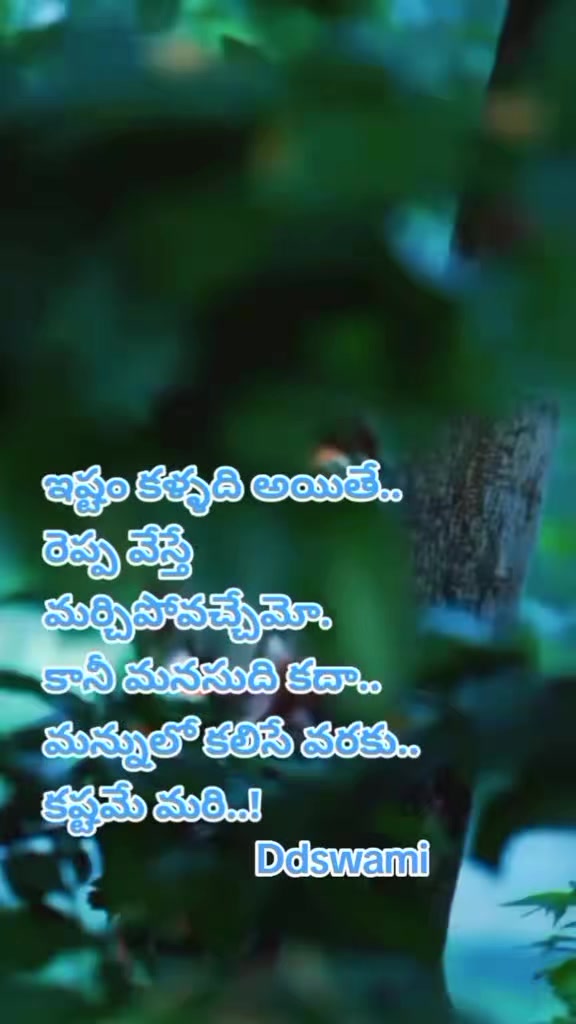 @dhandalaswami