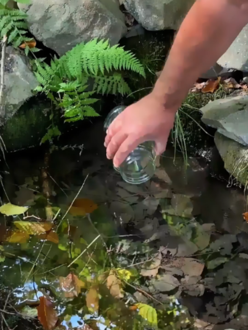 @Survival Skills TV