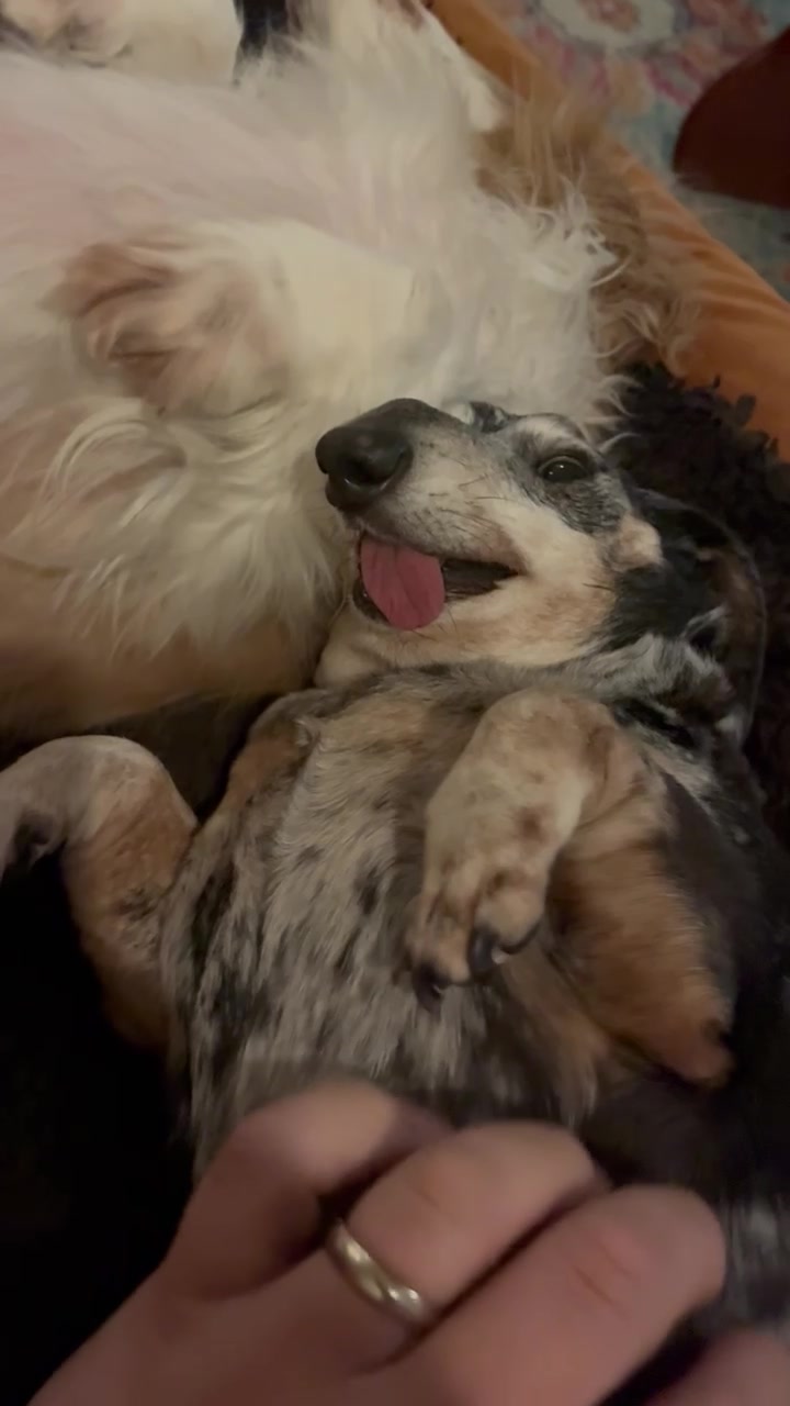 @agedsausages