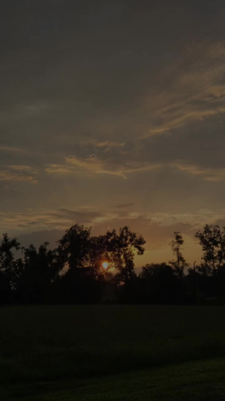 @فادي المصري